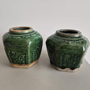 Può includere: Due vasi in ceramica esagonali con una smaltatura verde scuro lucida. Ogni vaso presenta motivi floreali e botanici in rilievo sui lati, un'ampia apertura circolare sulla parte superiore e una base non smaltata di colore chiaro.