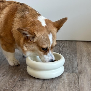 May include: A cream-colored, double-tiered dog bowl with a corgi eating from it. The corgi has brown and white fur and is positioned over the bowl. The bowl is on a wooden floor.