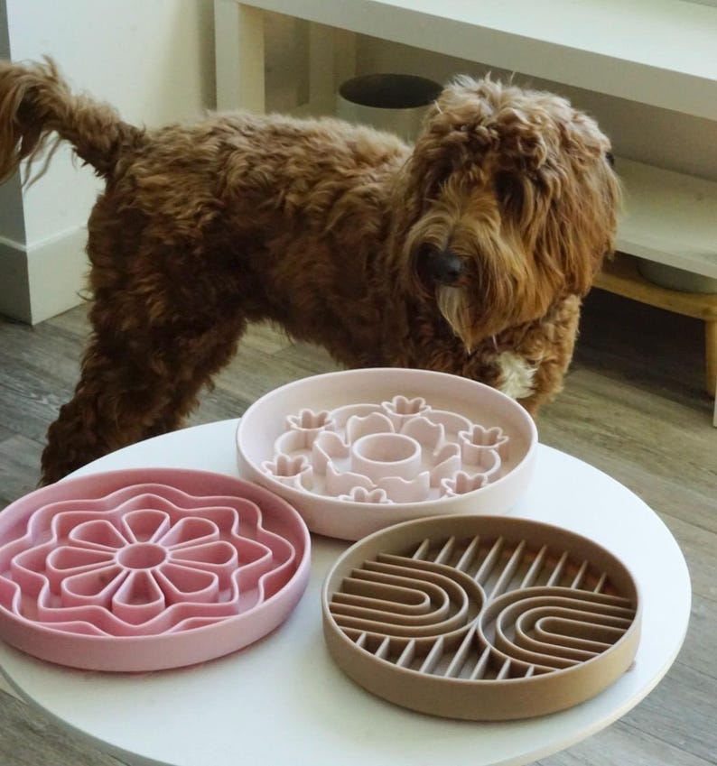 K&ouml;nnte beinhalten: Drei Futtern&auml;pfe f&uuml;r Hunde mit langsamer F&uuml;tterung in Rosa- und Braunt&ouml;nen stehen auf einem wei&szlig;en Tisch. Die Schalen haben unterschiedliche Designs: eine Blume, ein Blumenmuster und geschwungene Linien. Im Hintergrund ist ein brauner Hund mit lockigem Fell zu sehen.