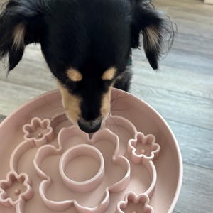 K&ouml;nnte beinhalten: Eine hellrosa Hunde-Futterbarriere mit Blumenmuster. Die Sch&uuml;ssel hat einen zentralen Ring und bl&uuml;tenf&ouml;rmige F&auml;cher, um das Fressen zu verlangsamen. Ein kleiner, schwarz-brauner Hund schaut in die Sch&uuml;ssel.