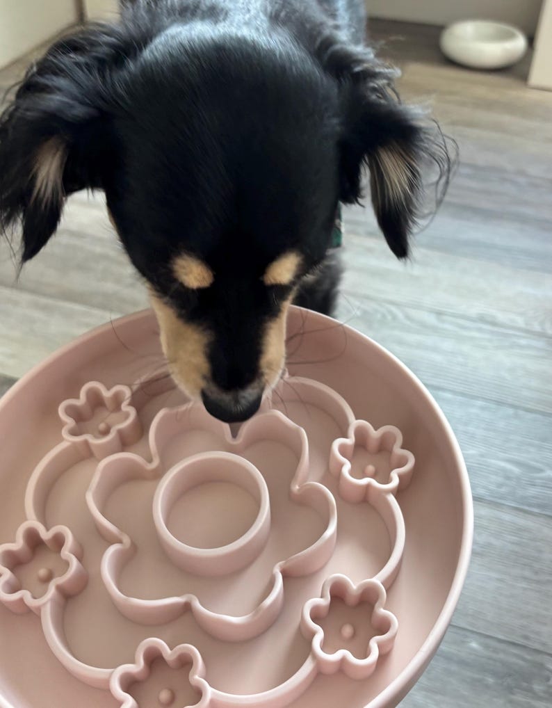 K&ouml;nnte beinhalten: Eine hellrosa Hunde-Futterbarriere mit Blumenmuster. Die Sch&uuml;ssel hat einen zentralen Ring und bl&uuml;tenf&ouml;rmige F&auml;cher, um das Fressen zu verlangsamen. Ein kleiner, schwarz-brauner Hund schaut in die Sch&uuml;ssel.