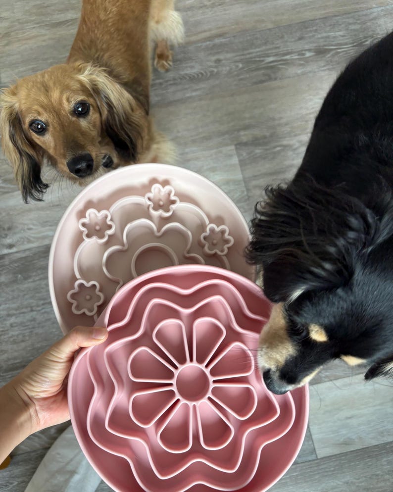 K&ouml;nnte beinhalten: Zwei Futtern&auml;pfe f&uuml;r Hunde mit langsamer F&uuml;tterung. Einer ist hellrosa mit einem Blumenmuster, der andere ist dunkler rosa mit einem Labyrinthmuster. Zwei Hunde schauen auf die Schalen.