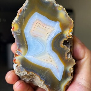 Può includere: Una fetta di agata lucidata con bande concentriche di colore azzurro traslucido, bianco e marrone dorato. La pietra presenta un bordo esterno naturale e grezzo con sfumature arancioni e rosse, rivelando una distinta struttura cristallina.
