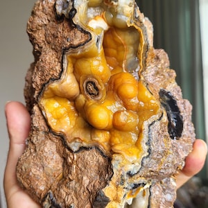 May include: A natural geode with a rough, brown exterior and a bright yellow and orange interior. The geode's cavity reveals rounded formations and a dark, banded edge. The rock is held in a hand, showing its size and texture.
