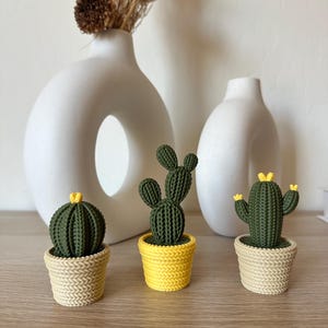 May include: Three decorative cactus plants in woven pots. The cacti are dark green with yellow accents, and the pots are yellow and beige. The cacti are arranged on a wooden surface with white vases and dried flowers in the background.
