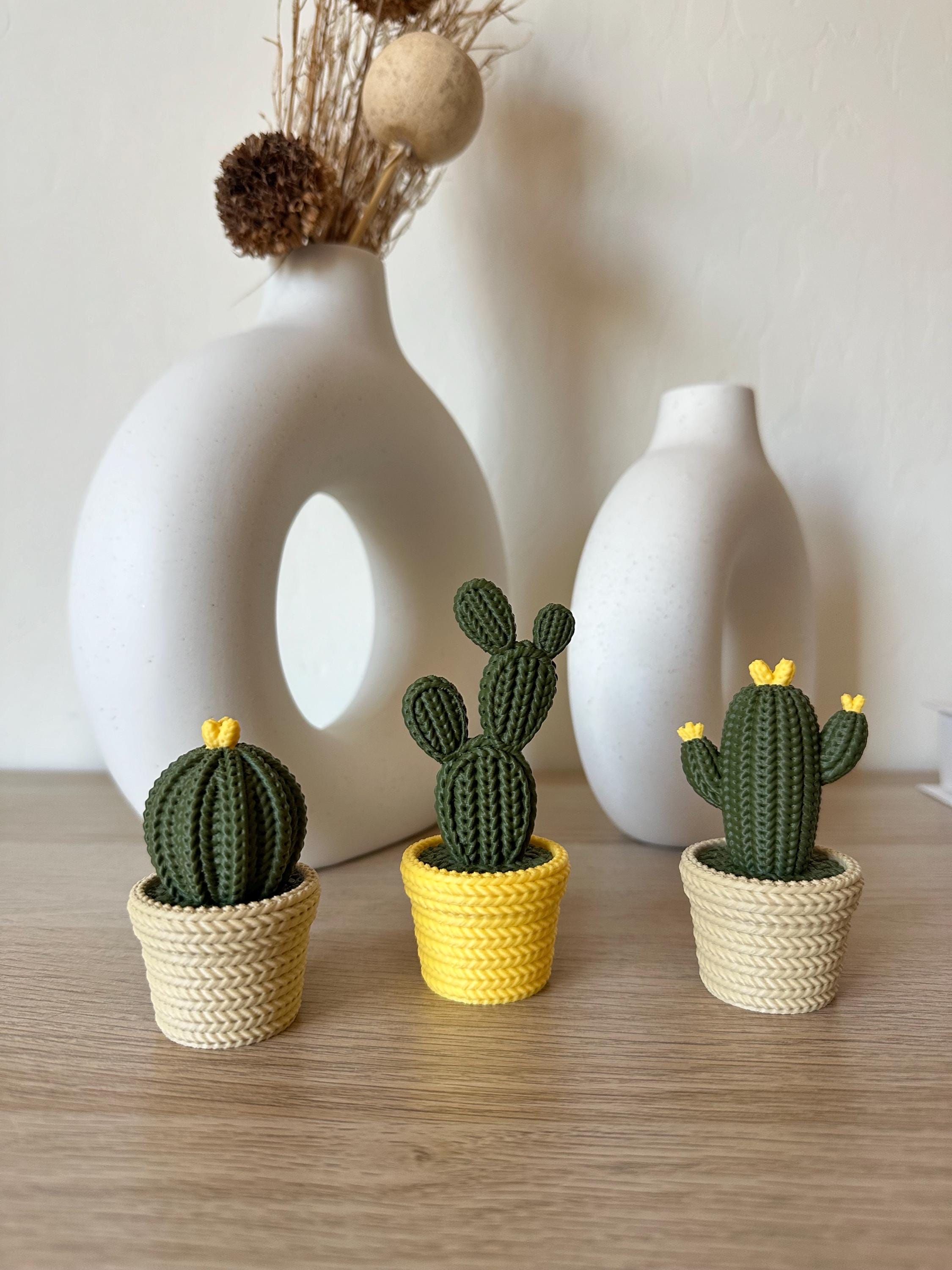 Knitted Cactus Plant - Etsy