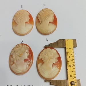 Può includere: Quattro intagli di cammeo in conchiglia con profili di donne, ognuno con un'acconciatura e un design diverso. Gli intagli sono di forma ovale e misurano circa 26 mm per 34 mm.