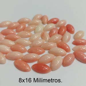 Op de afbeelding: Een groep van ongeveer 30 ovale, roze en witte schelpparels. De parels zijn ongeveer 8 millimeter breed en 16 millimeter lang. De tekst "8x16 Milímetros." is onder de parels gedrukt.