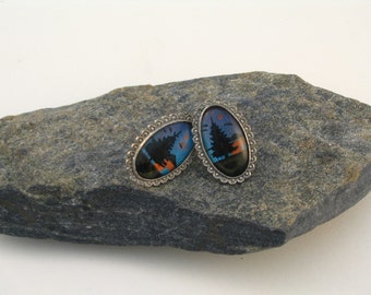 May include: A pair of oval-shaped earrings with a silver frame and a blue and orange butterfly wing design.