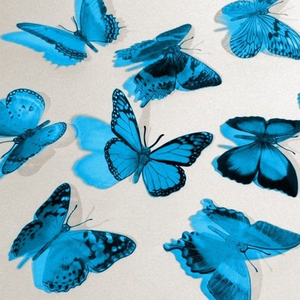 10x 3D BUTTERFLIES (ANY COLOR YOU WANT) WEDDING BRIDAL CAKE SCRAPBOOKING DIE CUTS CRAFTS BUTTERFLY DECORATION -- MADE IN USA -- AQUA TEAL