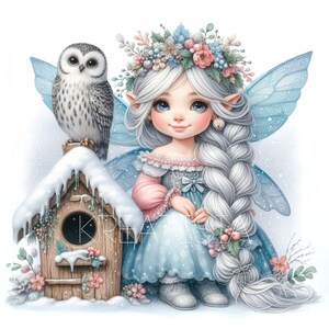 Gnomo de hadas de invierno helado, búho, amigo, clipart / 10 archivos JPG premium de 300 ppp / Clipart de hada festiva de búho nival, gráficos navideños acogedores, acuarela