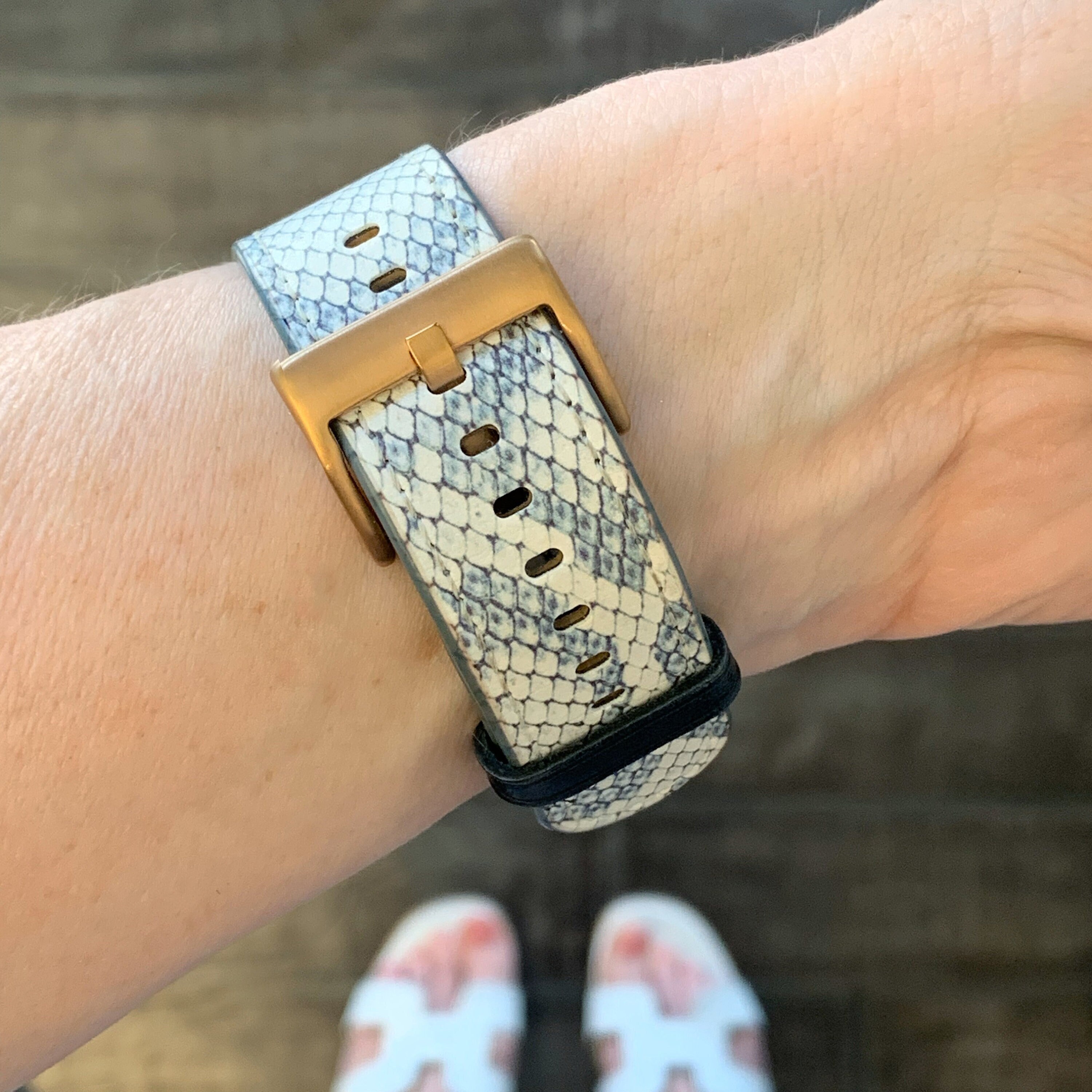 Snakeskin Apple Band Canada