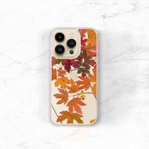May include: A clear phone case with a design of pressed autumn leaves in shades of orange, red, and yellow.