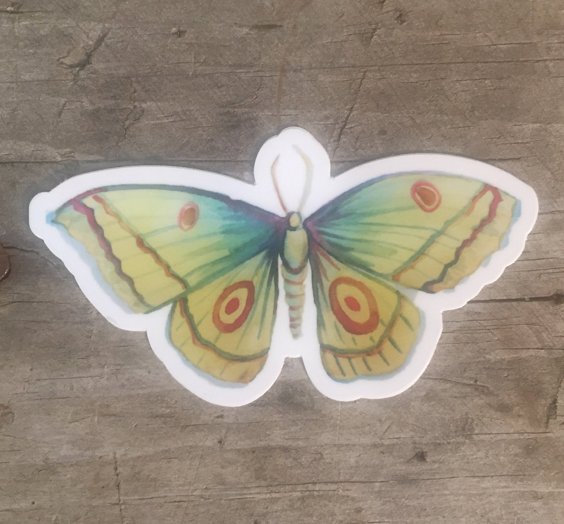 Butterfly Vinyl Sticker - Etsy