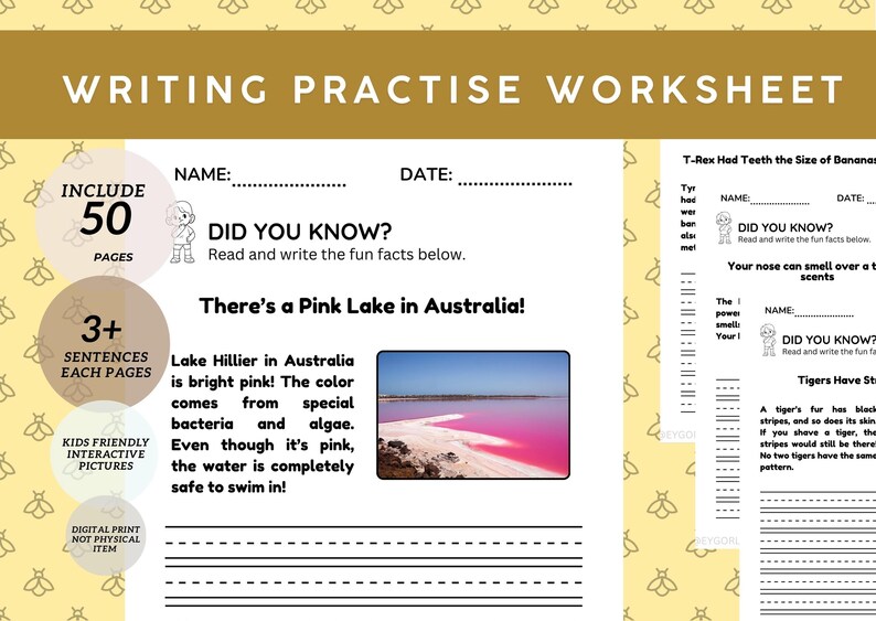 Reading and Writing Practise Worksheets Printable Sentences Writing Fun ...