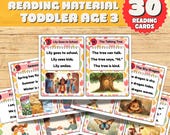 Toddler Reading Material Printable Age 3 Early Literacy Worksheets for Preschool Simple Reading Activities for 3 Year Old Digital Download