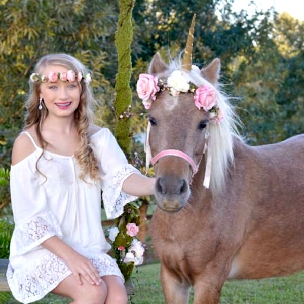 Pony Flower crown pink peach horse photo prop hair wreath adult little girl floral headpiece garland pet dog halo wedding accessories