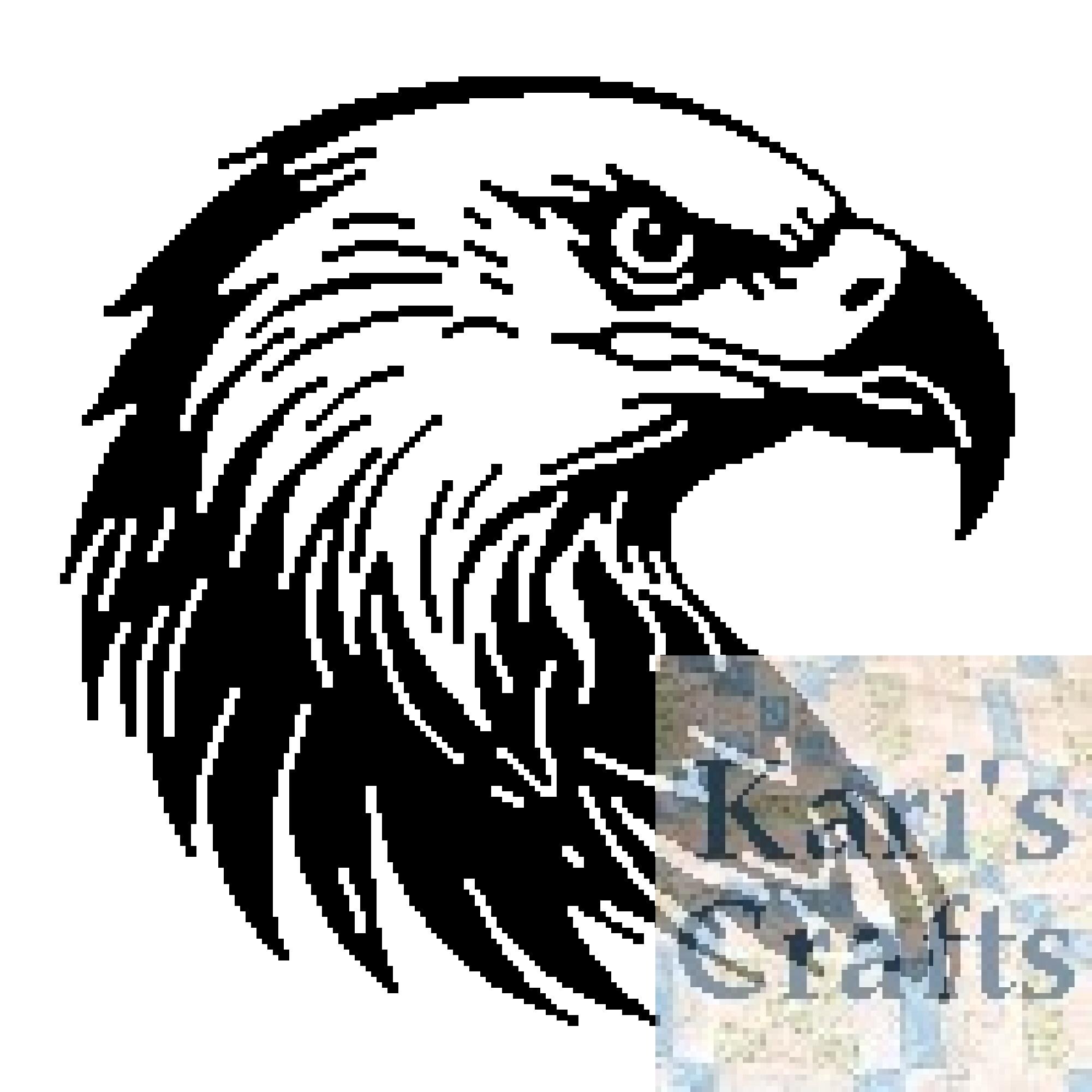 白頭ワシの横顔アフガンパターン：シングルクロッシェ、ニット、またはTSS（デジタルダウンロード） - Etsy 日本, image size:2001x2001