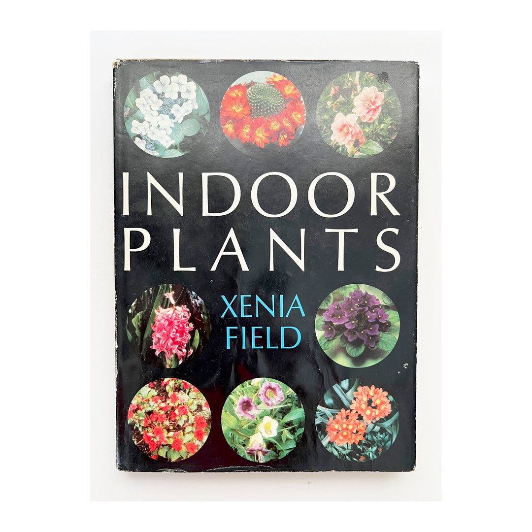 1966 Indoor Plants by Xenia Field Vintage Planting and Etsy