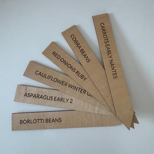 May include: Wooden plant markers with the names of different vegetables and herbs, including Carrots Early Nantes, Cobra Beans, Red Onions Ruby, Cauliflower Winter Giant, Asparagus Early 2, and Borlotti Beans.