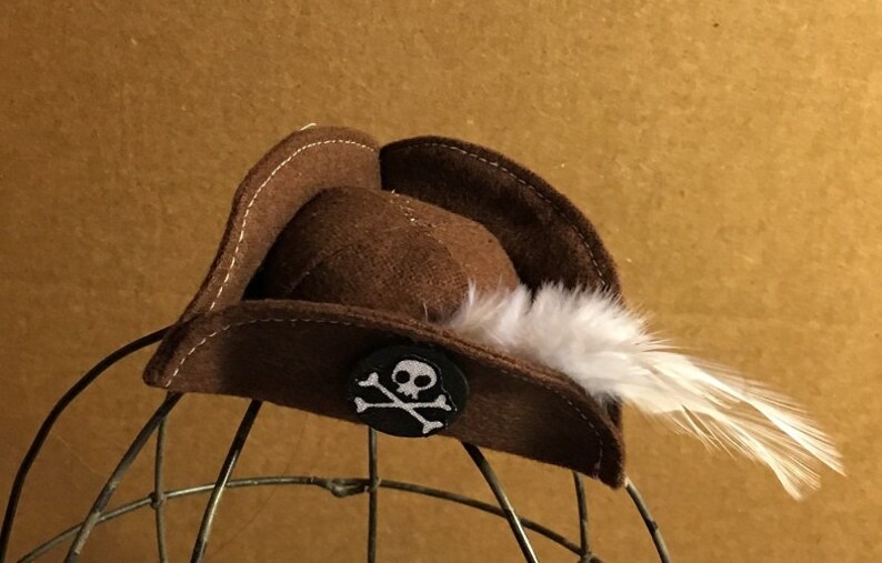 May include: A brown felt pirate hat with a white feather and a black skull and crossbones patch.