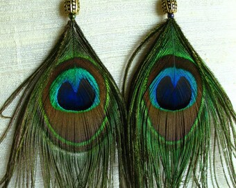 Peacock Feather Earrings