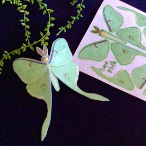 May include: A green luna moth with a purple body and long, pointed wings. The moth is on a black background. The image also shows a sheet of paper with a luna moth design and the text "Luna Moth".
