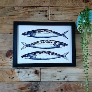 Cornish Mackerel print, poster A4/A3