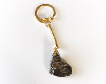 Vintage Tumbled Stone Crystal Keychain Turritella Agate