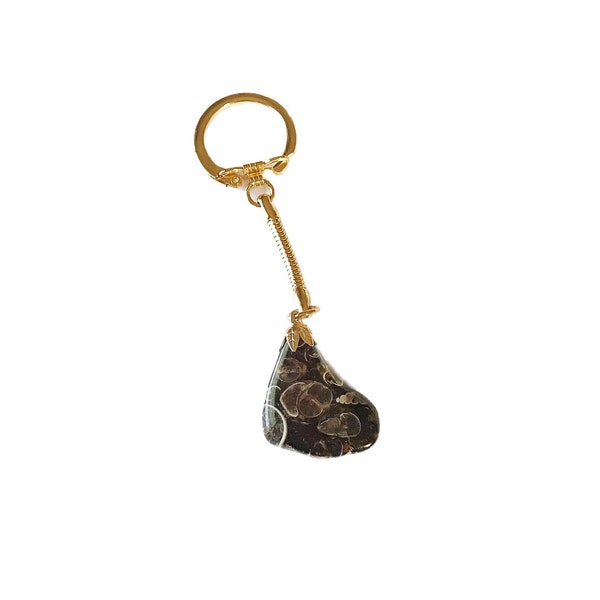 Chaveiro de cristal de pedra caída vintage Turritella Agate