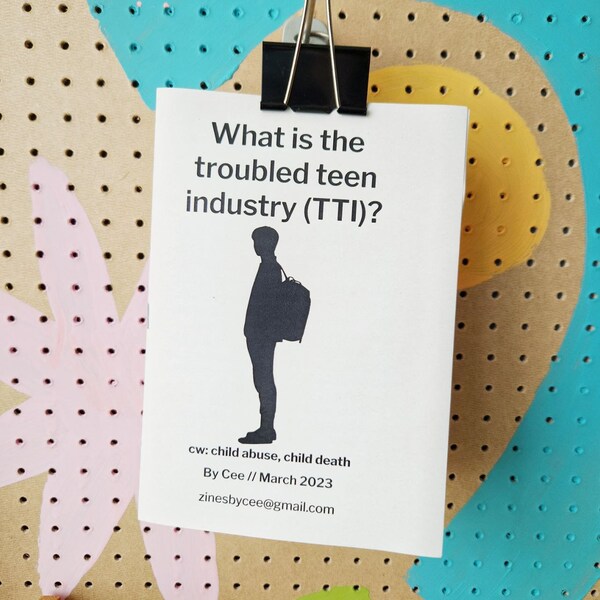 What is the troubled teen industry? zine