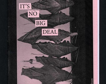 Könnte beinhalten: Ein schwarzes und rosa Zine-Cover mit dem Text "IT'S NO BIG DEAL" und "A conversation on non-binary identity". Das Bild zeigt ein Graustufenfoto von sich überlappenden Blättern. Das Zine hat einen rosa Rand und einen schwarzen Hintergrund.