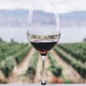 Puede incluir: Una copa de vino tinto delante de un viñedo con hileras de vides.