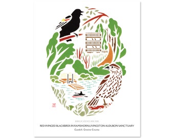Red-winged Blackbirds in RamsHorn-Livingston Audubon Sanctuary, Catskill, Greene County / Upstate New York Art Print / Bird Art