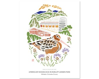 American Woodcock in Roeliff Jansen Park, Hillsdale, Columbia County / Upstate New York Art Print / Travel Poster / Bird Art / Hudson Valley