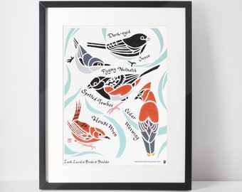 Lack Lazuli's Birds of Boulder Art Print / Colorado / Birder / Bird Art / Junco Waxwing Nuthatch Towhee Wren