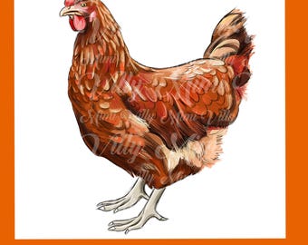 Retro Chicken Western Shirt Design: Preppy Farm PNG (Digital Download