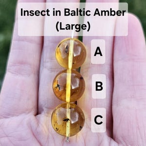 Peut inclure: Trois perles sphériques en ambre de la Baltique disposées verticalement sur une fine tige métallique. Chaque perle translucide brun doré contient un insecte fossilisé visible. L'image inclut le texte Insect in Baltic Amber (Large) et les étiquettes A, B et C.