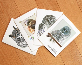 Set of four assorted owl notecards, great-horned owl, saw-whet owl, barred owl, great gray owl