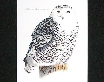 ACEO Snowy Owl, Limited Edition, Art print of original illustration 2.5"x3.5", Gift for Owl Lovers, Art Collectors