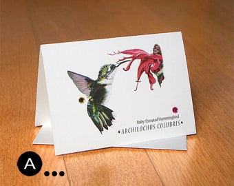 Blank Note Cards, Ruby-throated Hummingbird, Flamingos, Bird Art