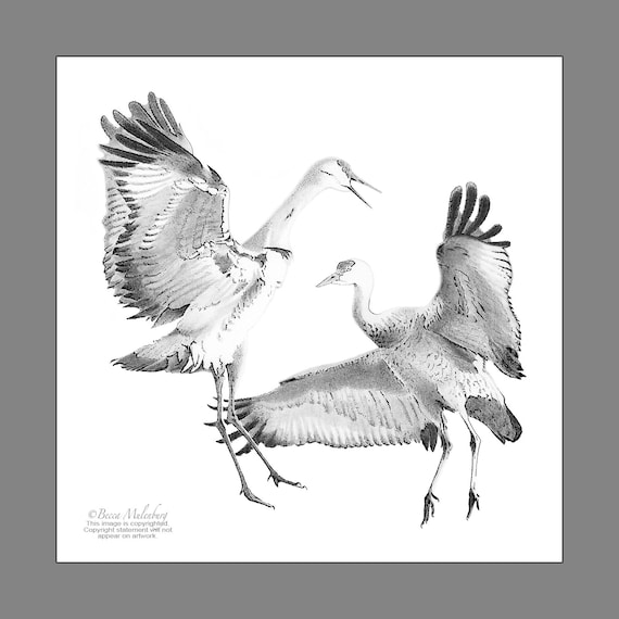 DesignQ Japanese Cranes Bird Drawing with Red Flowers Traditional Framed  Wall Art : Amazon.ca: Home