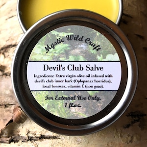 Wildcrafted Herbal Pain Salve With Alaskan Ginseng (Devil&#39;s Club  (Oploponax horridus))