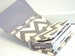 Cash Envelope  Coupon Wallet  Dave Ramsey System  ZIPPER Envelopes - Gray and Natural  Chevron Zig Zag 