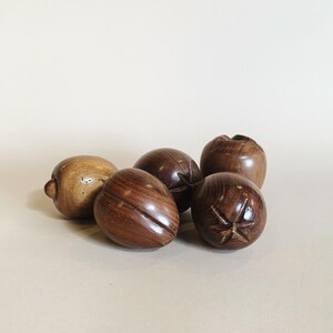 WOOD FRUIT - S/5