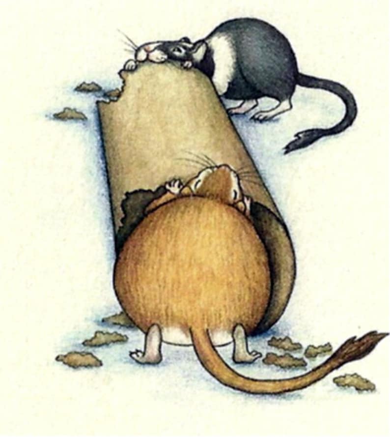 The Gerbil Chews BluesBlank Greeting Cards image 3