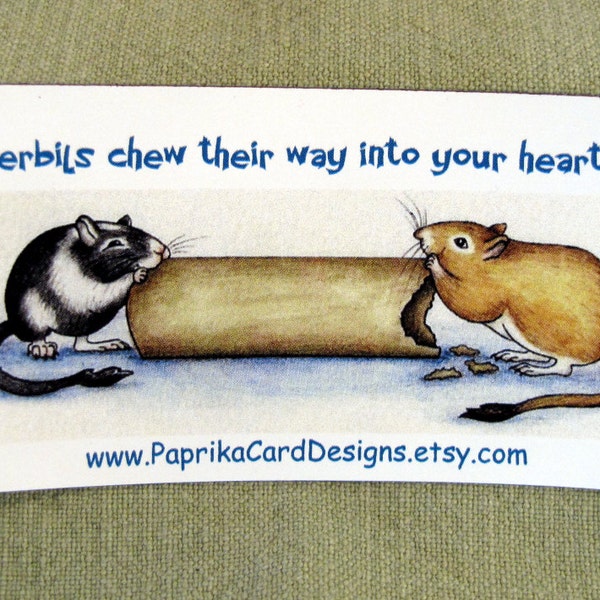 Magnet--Gerbils chew their way into your heart