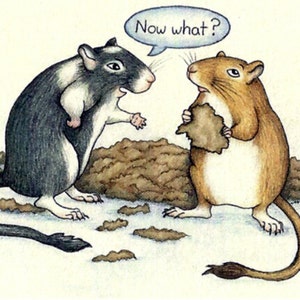 The Gerbil Chews BluesBlank Greeting Cards image 5