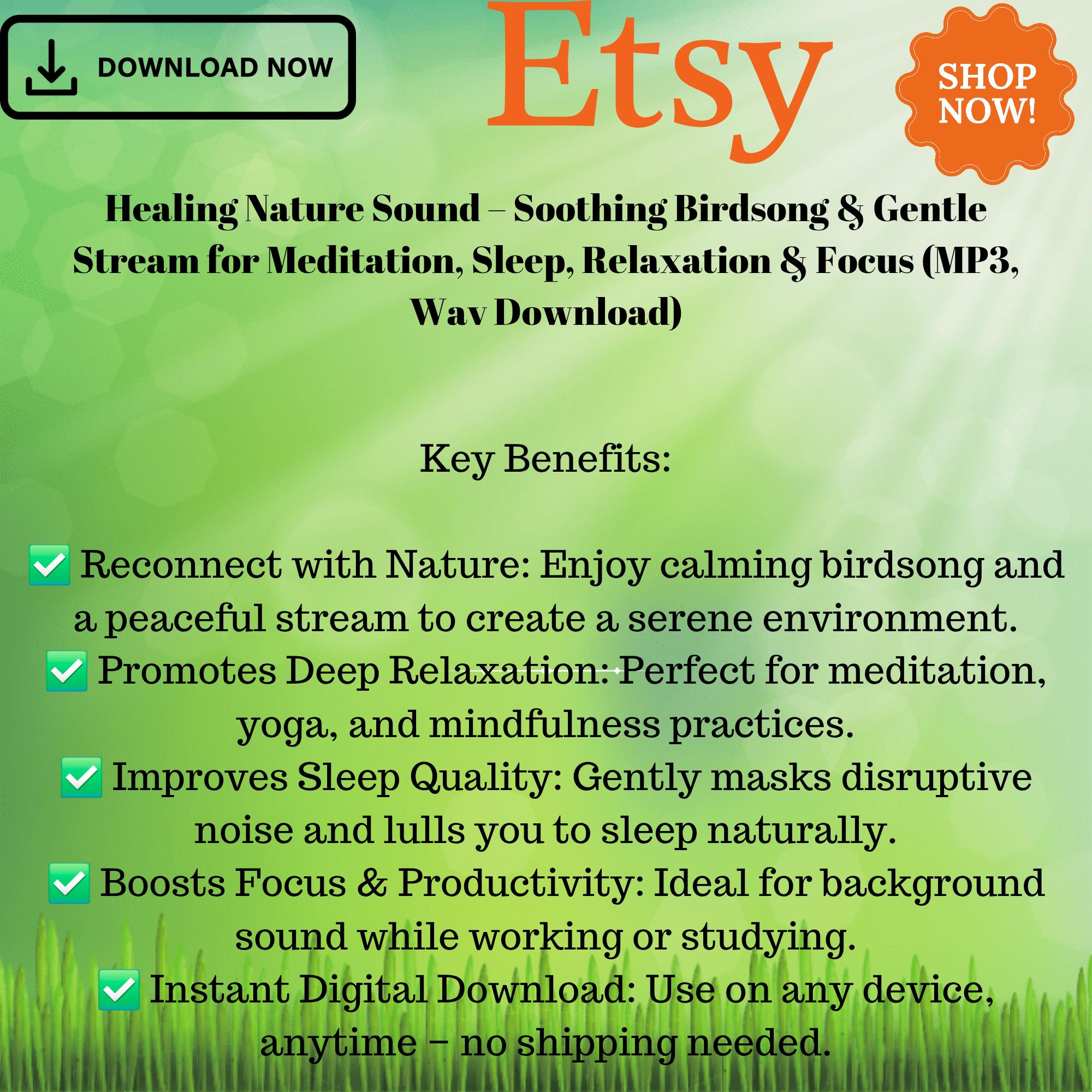 Son de la nature apaisant, chant d'oiseau, flux doux pour la méditation, le sommeil et la relaxation (téléchargement MP3)