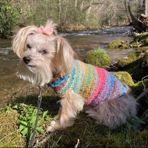Handmade Carousel Dog Sweater, Hand crotchet, One of a kind luxury pet sweater-Gifts for Pets